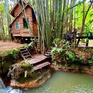 Explore Jungle Book Siam for 17 days with DIAMIR Erlebnisreisen and discover unforgettable experiences - Photo 2