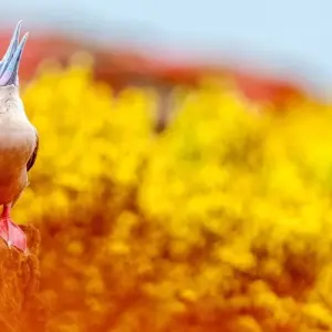 Explore South America's Big Five for 25 days with DIAMIR Erlebnisreisen and discover unforgettable experiences - Photo 2