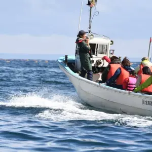 Explore Photography in Hokkaido - Orcas, Bears and Cranes for 15 days with DIAMIR Erlebnisreisen and discover unforgettable experiences - Photo 6