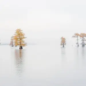 Explore The mystical swamps of Louisiana for 8 days with DIAMIR Erlebnisreisen and discover unforgettable experiences - Photo 4