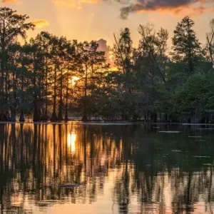 Explore The mystical swamps of Louisiana for 8 days with DIAMIR Erlebnisreisen and discover unforgettable experiences - Photo 5