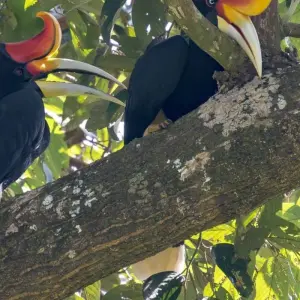 Explore Borneo bokeh: On a photo Safari in The forests of Sarawak and Sabah for 15 days with DIAMIR Erlebnisreisen and discover unforgettable experiences - Photo 2