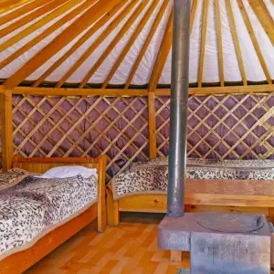 Explore From the Gobi to the Steppe for 12 days with DIAMIR Erlebnisreisen and discover unforgettable experiences - Photo 6