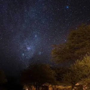 Explore The Savannah for 14 days with DIAMIR Erlebnisreisen and discover unforgettable experiences - Photo 2