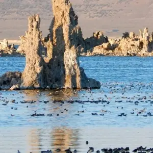 Explore The Treasures of California for 14 days with DIAMIR Erlebnisreisen and discover unforgettable experiences - Photo 6