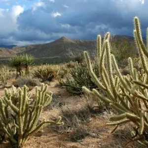 Explore The Treasures of California for 14 days with DIAMIR Erlebnisreisen and discover unforgettable experiences - Photo 9