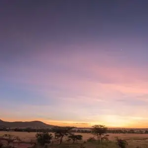 Explore The Savannah for 14 days with DIAMIR Erlebnisreisen and discover unforgettable experiences - Photo 11