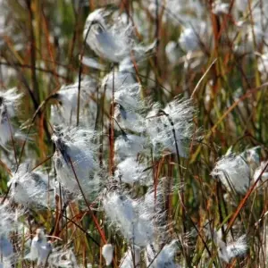 Explore Inuit, Icebergs and Northern Lights for 15 days with DIAMIR Erlebnisreisen and discover unforgettable experiences - Photo 6