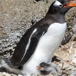 Explore Die große Reise for 21 days with DIAMIR Erlebnisreisen and discover unforgettable experiences - Photo 2