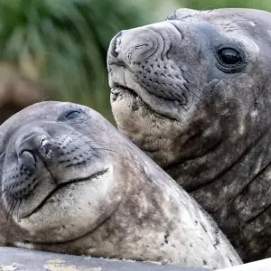 Explore Die große Reise for 21 days with DIAMIR Erlebnisreisen and discover unforgettable experiences - Photo 5