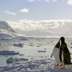 Explore Die große Reise for 21 days with DIAMIR Erlebnisreisen and discover unforgettable experiences - Photo 7