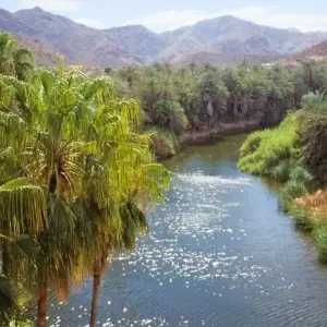 Explore Whale watching in Baja California for 13 days with DIAMIR Erlebnisreisen and discover unforgettable experiences - Photo 2