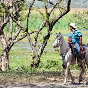 Explore Costa Rica Highlights for 14 days with DIAMIR Erlebnisreisen and discover unforgettable experiences - Photo 3