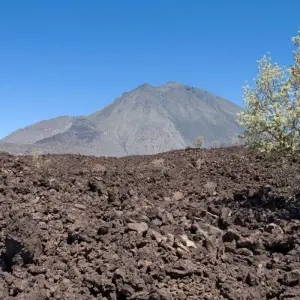 Explore Whale watching in Baja California for 13 days with DIAMIR Erlebnisreisen and discover unforgettable experiences - Photo 6