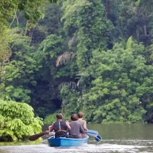 Explore Costa Rica Highlights for 14 days with DIAMIR Erlebnisreisen and discover unforgettable experiences - Photo 5