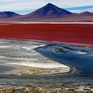 Explore Highlights of the Andean Countries for 18 days with DIAMIR Erlebnisreisen and discover unforgettable experiences - Photo 3