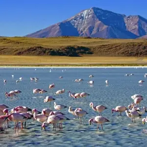 Explore Highlights of the Andean Countries for 18 days with DIAMIR Erlebnisreisen and discover unforgettable experiences - Photo 5