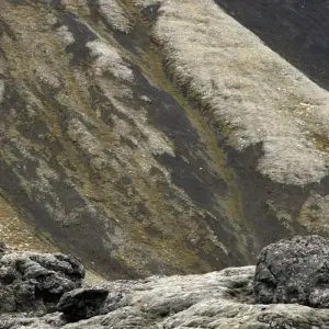 Explore Course North: Across the Arctic Circle for 9 days with DIAMIR Erlebnisreisen and discover unforgettable experiences - Photo 4