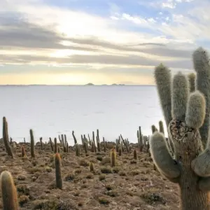 Explore Highlights of the Andean Countries for 18 days with DIAMIR Erlebnisreisen and discover unforgettable experiences - Photo 8
