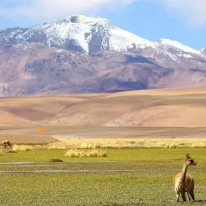 Explore Highlights of the Andean Countries for 18 days with DIAMIR Erlebnisreisen and discover unforgettable experiences - Photo 9
