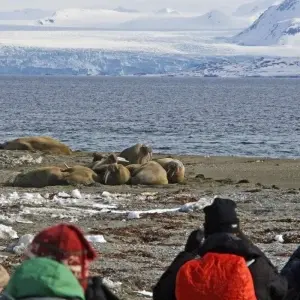 Explore Course North: Across the Arctic Circle for 9 days with DIAMIR Erlebnisreisen and discover unforgettable experiences - Photo 5