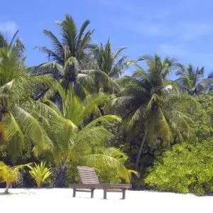 Explore Island Hopping in Maldives (from Male to Maamigili) for 8 days with DIAMIR Erlebnisreisen and discover unforgettable experiences - Photo 4