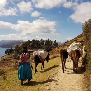 Explore Highlights of the Andean Countries for 18 days with DIAMIR Erlebnisreisen and discover unforgettable experiences - Photo 11