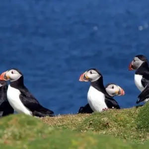 Explore Course North: Across the Arctic Circle for 9 days with DIAMIR Erlebnisreisen and discover unforgettable experiences - Photo 9