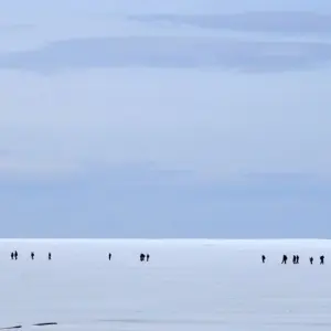 Explore Course North: Across the Arctic Circle for 9 days with DIAMIR Erlebnisreisen and discover unforgettable experiences - Photo 11