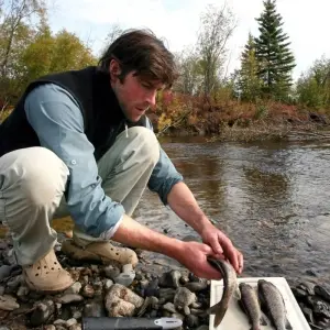 Explore Canoe Adventure on the Famous Yukon River for 20 days with DIAMIR Erlebnisreisen and discover unforgettable experiences - Photo 3