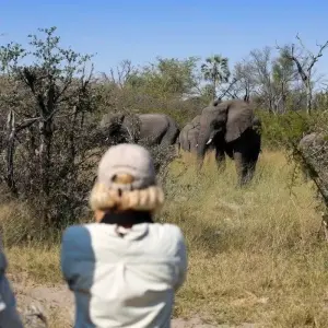 Explore On the Trail of the Wild Dogs for 10 days with DIAMIR Erlebnisreisen and discover unforgettable experiences - Photo 4