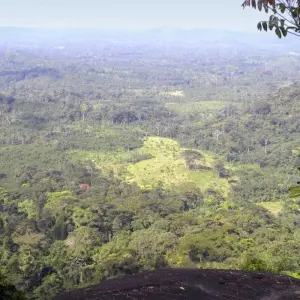 Explore Into the Green Heart of West Africa for 14 days with DIAMIR Erlebnisreisen and discover unforgettable experiences - Photo 2