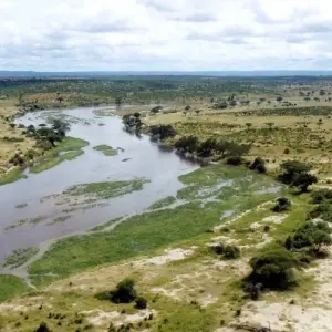 Explore On the Trail of the Wild Dogs for 10 days with DIAMIR Erlebnisreisen and discover unforgettable experiences - Photo 6