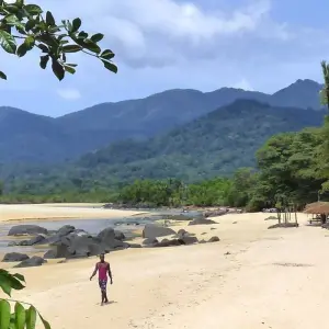 Explore Into the Green Heart of West Africa for 14 days with DIAMIR Erlebnisreisen and discover unforgettable experiences - Photo 5