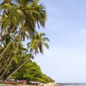 Explore Into the Green Heart of West Africa for 14 days with DIAMIR Erlebnisreisen and discover unforgettable experiences - Photo 8