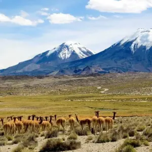 Explore Mountain Experiences Between Altiplano and Atacama for 16 days with DIAMIR Erlebnisreisen and discover unforgettable experiences - Photo 4