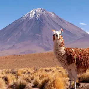 Explore Mountain Experiences Between Altiplano and Atacama for 16 days with DIAMIR Erlebnisreisen and discover unforgettable experiences - Photo 5