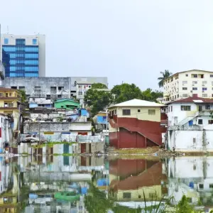 Explore Into the Green Heart of West Africa for 14 days with DIAMIR Erlebnisreisen and discover unforgettable experiences - Photo 11