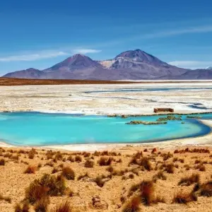 Explore Mountain Experiences Between Altiplano and Atacama for 16 days with DIAMIR Erlebnisreisen and discover unforgettable experiences - Photo 7