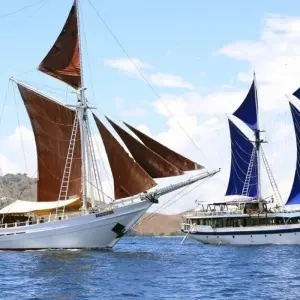 Explore Cruise in the Island Paradise of the Four Rajas for 10 days with DIAMIR Erlebnisreisen and discover unforgettable experiences - Photo 4