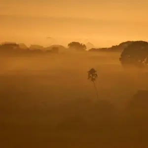 Explore In the Realm of the Jaguar for 11 days with DIAMIR Erlebnisreisen and discover unforgettable experiences - Photo 11