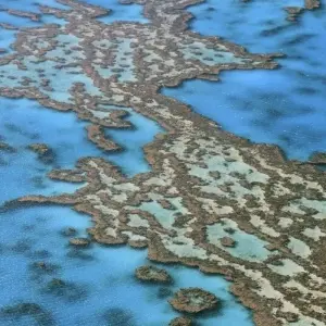 Explore Breakfast with Kangaroos for 15 days with DIAMIR Erlebnisreisen and discover unforgettable experiences - Photo 3