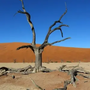 Explore From the Cape to Windhoek as a camping safari for 14 days with DIAMIR Erlebnisreisen and discover unforgettable experiences - Photo 11