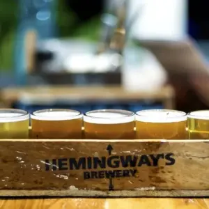 Explore Breakfast with Kangaroos for 15 days with DIAMIR Erlebnisreisen and discover unforgettable experiences - Photo 7