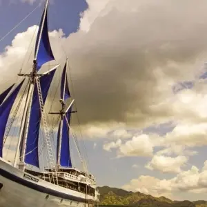 Explore Cruise in the Island Paradise of the Four Rajas for 10 days with DIAMIR Erlebnisreisen and discover unforgettable experiences - Photo 11