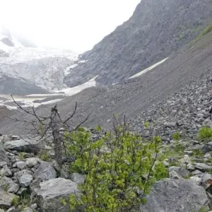 Explore Svanetia - South Caucasus Trekking Tour for 14 days with DIAMIR Erlebnisreisen and discover unforgettable experiences - Photo 5