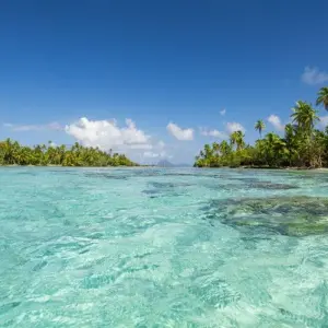Explore Polynesia Dream - Cruise from Tahiti to Raiatea for 11 days with DIAMIR Erlebnisreisen and discover unforgettable experiences - Photo 4