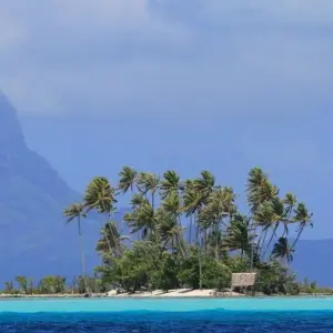 Explore Polynesia Dream - Cruise from Tahiti to Raiatea for 11 days with DIAMIR Erlebnisreisen and discover unforgettable experiences - Photo 10