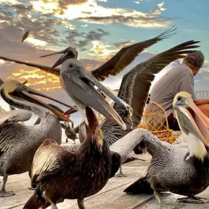 Explore Ruins, reef and rainforest for 8 days with DIAMIR Erlebnisreisen and discover unforgettable experiences - Photo 3