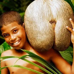 Explore In the Garden of Eden of the Indian for 11 days with DIAMIR Erlebnisreisen and discover unforgettable experiences - Photo 9